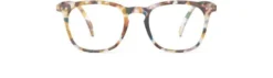 READING #E Blue Tortoise