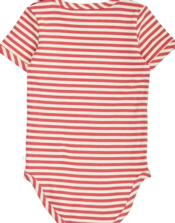 Rib stripe s/s body