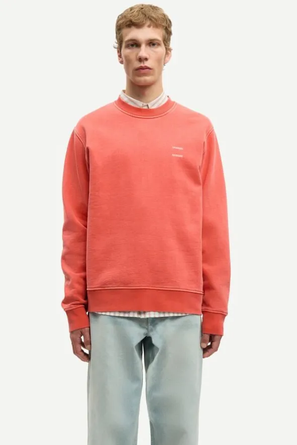 Sajoel sweatshirt 14485