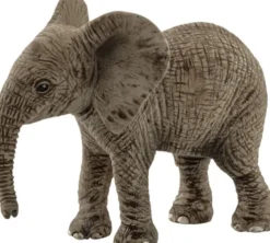 Sch African elephant calf