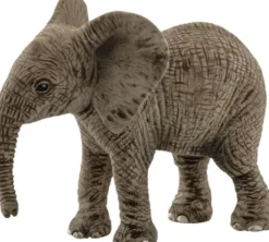 Sch African elephant calf