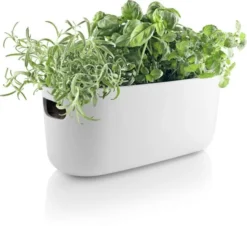 Selvvandende Herb organiser white