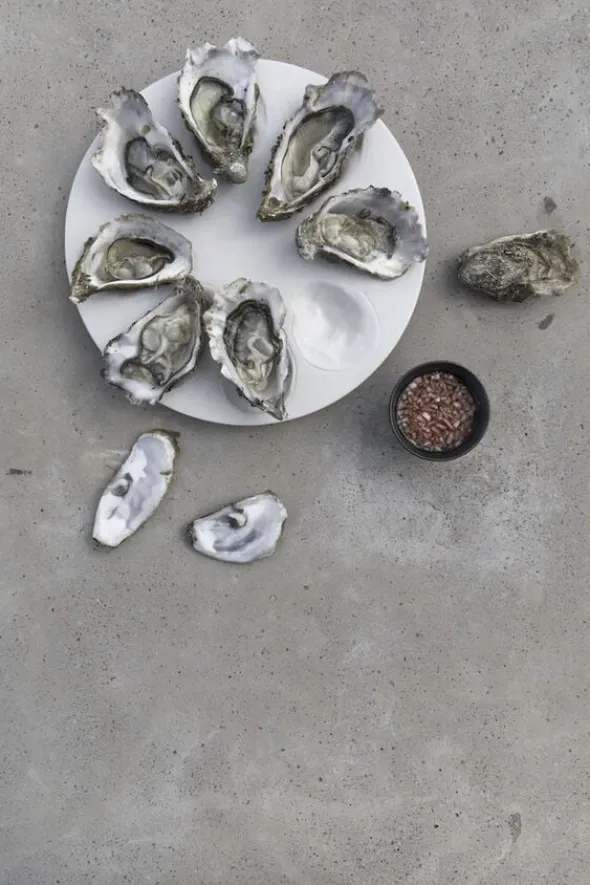 Serving plate Oyster