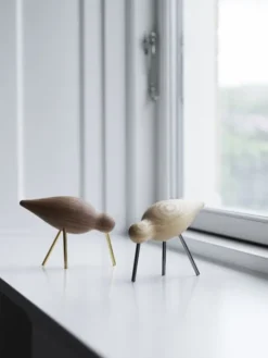 Shorebird lille sort