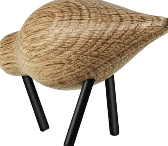Shorebird lille sort