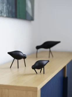 Shorebird liten svart