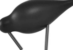 Shorebird liten svart