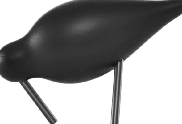 Shorebird liten svart