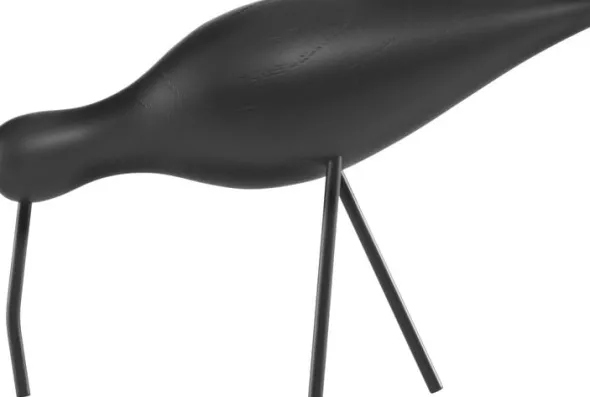 Shorebird stor svart