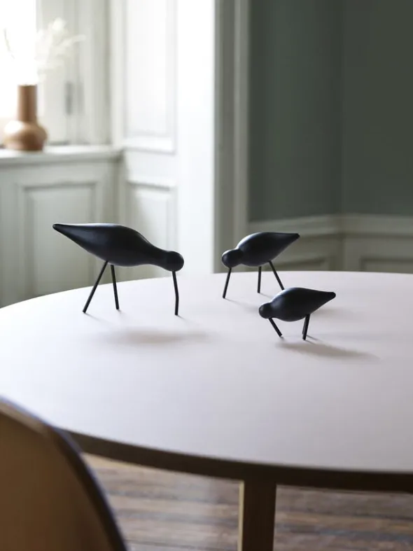 Shorebird stor svart