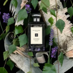 Silver Birch & Lavender Cologne