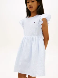 Stripe Seersucker Fit And Flare Dress