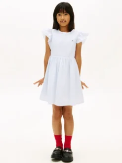 Stripe Seersucker Fit And Flare Dress