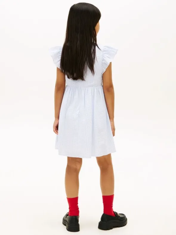 Stripe Seersucker Fit And Flare Dress