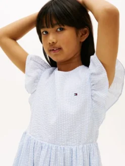 Stripe Seersucker Fit And Flare Dress