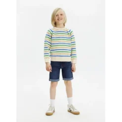 THE NEW Denim Shorts