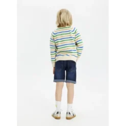 THE NEW Denim Shorts
