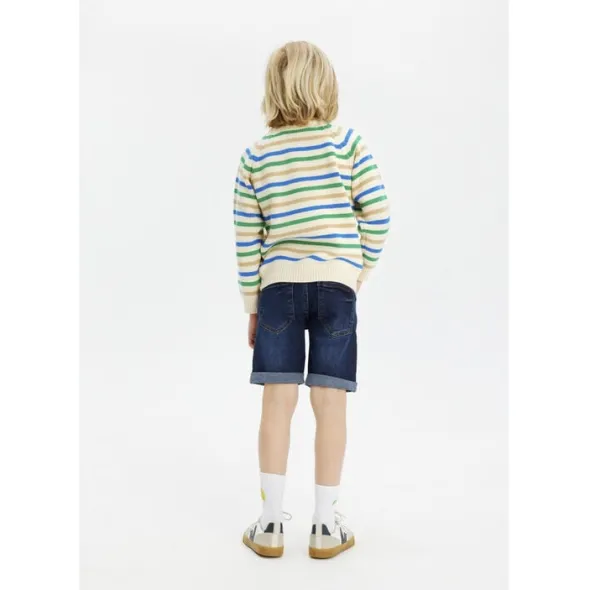 THE NEW Denim Shorts
