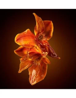The Scent for Her Intense EdP