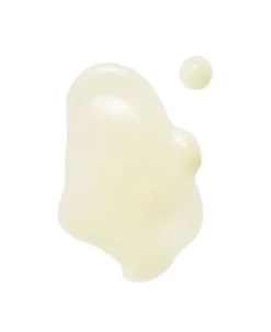 The Shroom Essence Multi-depth hydration fluid
