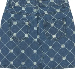 TNStine Denim Skirt