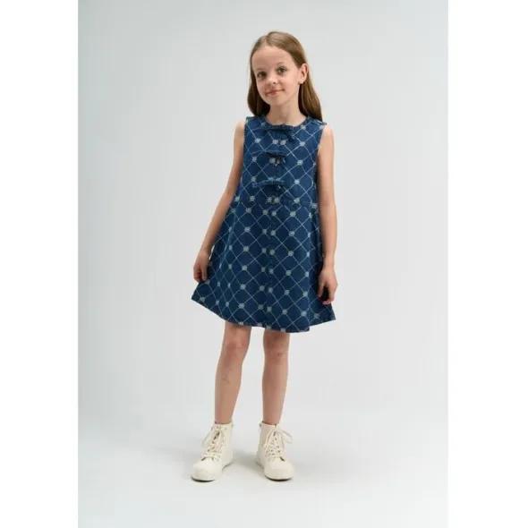 TNStine S_L Denim Dress