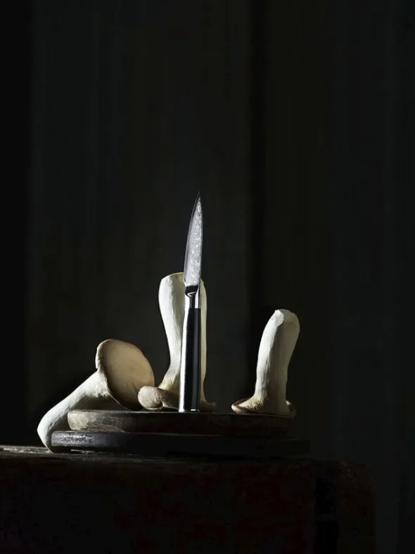 Urtekniv