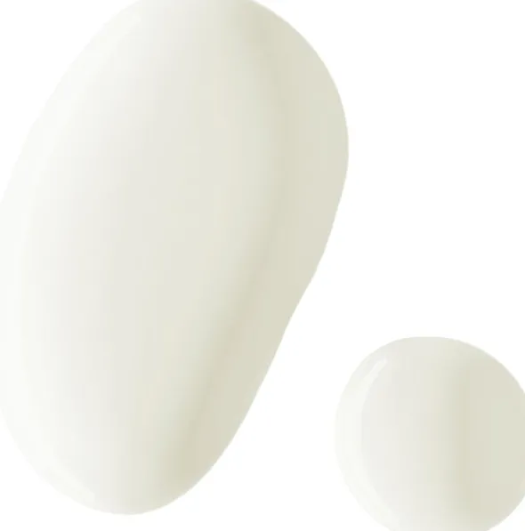 Waterlover Sun Milky Spray SPF50