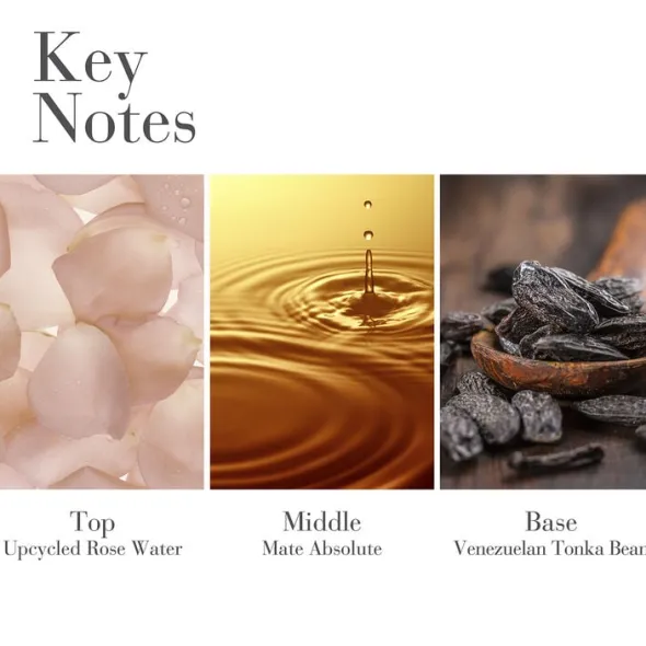 White Tea Eau de Parfum