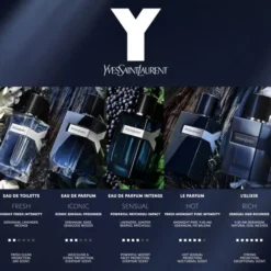 Y Eau de Parfum